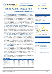 首次覆盖深度报告：深耕网安产业上游，引领行业技术创新