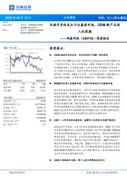 深度报告:车规半导体龙头卡位蓝海市场,ODM新产品进入收获期