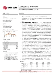 公司简评报告：上半年业绩承压，静待内销拐点