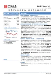 消费锂电迎来重构，行业龙头地位稳固