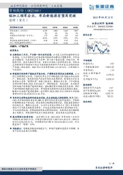 铝加工领军企业，布局新能源有望再突破