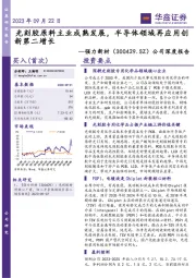 公司深度报告:光刻胶原料主业成熟发展,半导体领域再应用创新第二增长