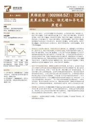 23Q2炭黑业绩承压，快充增加导电炭黑需求