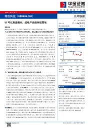 Q3环比高速增长，战略产品线持续落地