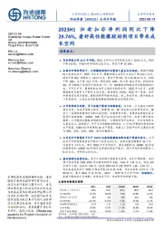 公司半年报:2023H1归母扣非净利润同比下降29.74%,看好高性能橡胶助剂项目带来成长空间