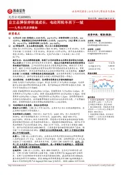 九号公司点评报告：自主品牌保持快速成长，电动两轮车再下一城