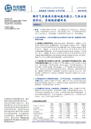 公司半年报：稀有气价格承压影响盈利能力；气体业务国际化、多领域前瞻布局