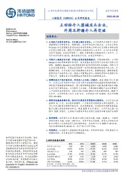 公司研究报告：主动脉介入器械龙头企业，外周及肿瘤介入再突破