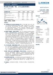 网安技术创新厂商,多元发展促增长