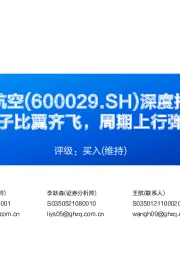深度报告:大兴落子比翼齐飞,周期上行弹性可期