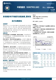 多因素影响下增速阶段性放缓,高研发助力长期成长