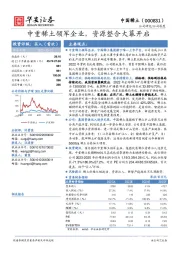 中重稀土领军企业，资源整合大幕开启