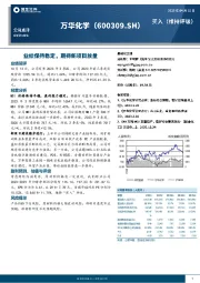 业绩保持稳定,期待新项目放量