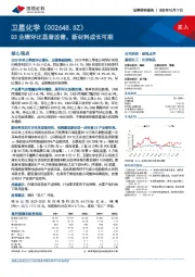 Q3业绩环比显著改善，新材料成长可期