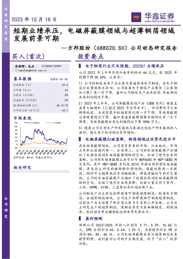 公司动态研究报告：短期业绩承压，电磁屏蔽膜领域与超薄铜箔领域发展前景可期