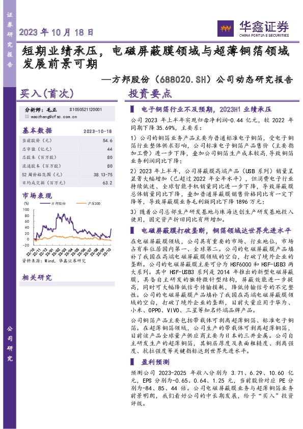 公司动态研究报告：短期业绩承压，电磁屏蔽膜领域与超薄铜箔领域发展前景可期