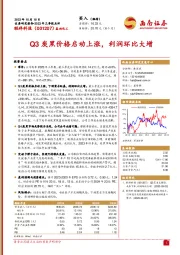 Q3炭黑价格启动上涨，利润环比大增