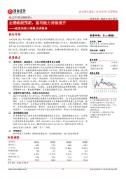 硅宝科技三季报点评报告:业绩略超预期,盈利能力持续提升