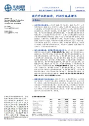公司半年报:国内外双轮驱动,利润实现高增长