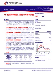 Q3利润表现靓丽,静待未来需求回暖