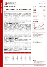 投资收益下降拖累盈利，增产增储夯实成长根基