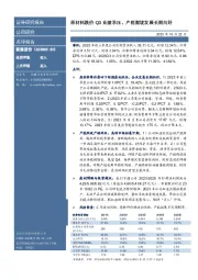 原材料跌价Q3业绩承压,产能爬坡发展长期向好