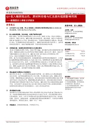 新澳股份三季报点评报告：Q3收入端表现出色，原材料价格与汇兑损失短期影响利润