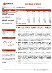 股份支付影响业绩,新产能释放可期