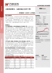点评报告:业绩保持增长,但盈利能力有所下降