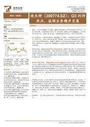 Q3利润承压，盐湖业务稳步发展