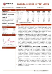 EBG保持增长、海外业务回暖,关注“观澜”大模型进展
