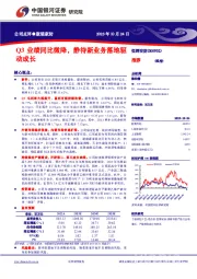 Q3业绩同比微降，静待新业务落地驱动成长