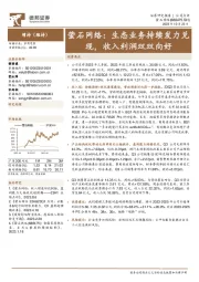 萤石网络:生态业务持续发力兑现,收入利润双双向好
