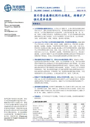 公司深度报告：国内贵金属催化剂行业领先，持续扩产强化竞争优势