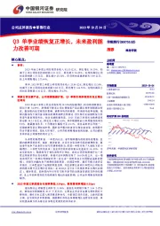 Q3单季业绩恢复正增长,未来盈利能力改善可期