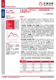 公司简评报告：业绩持续高增，产品渠道齐发力