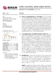 公司深度报告:全流程一体化布局领先,盈利能力有望进入提升阶段