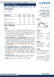 2023年三季报点评:Q3收入同比+17%,净利率保持提升