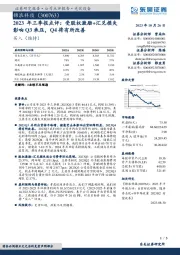 2023年三季报点评:受股权激励+汇兑损失影响Q3承压,Q4将有所改善