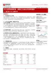 自主品牌延续高增,剔除汇兑波动利润率稳增