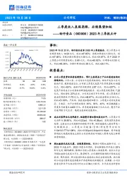 2023年三季报点评:三季度收入表现亮眼,后续展望积极