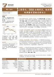 23Q3业绩承压，组织架构调整有望焕发新活力