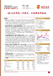 2023年三季报点评：Q3毛利率进一步提升，加码摩洛哥基地