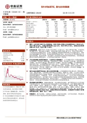 海外市场加速开拓，国内业务持续稳健