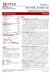 2023年三季报点评：海外订单回暖，Q3业绩扭亏为盈