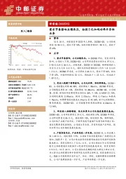 新雷能三季报点评：需求节奏影响业绩承压，拟投5亿加码功率半导体业务