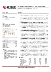 公司简评报告：库存处置致使利润短期承压，消费业务稳健修复