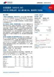 2023年三季报点评：收入增长超20%，盈利受汇兑扰动