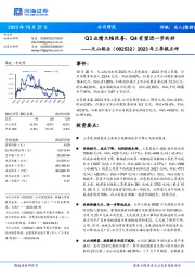 2023年三季报点评：Q3业绩大幅改善，Q4有望进一步向好