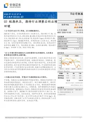 Q3短期承压,期待行业调整后的业绩回暖